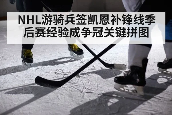 NHL游骑兵签凯恩补锋线季后赛经验成争冠关键拼图